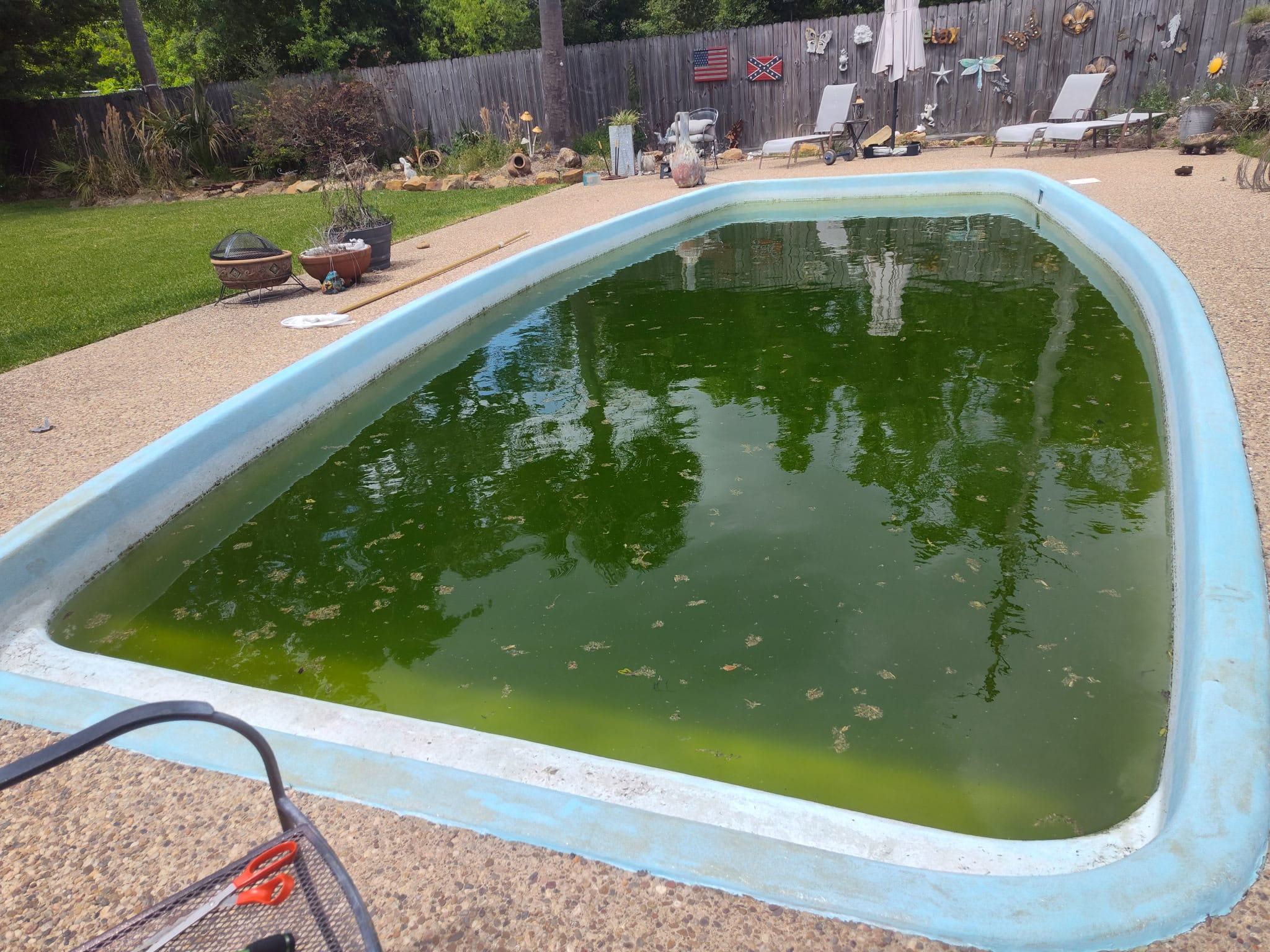 Pool Deck & Surroundings Restoration - Before